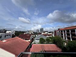 Alocassia Apartments (D10), Condominium #546934511